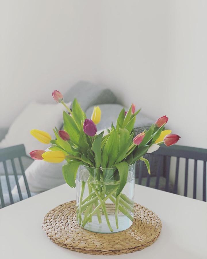 Cioccis Boutique Apartment Roma Eksteriør bilde
